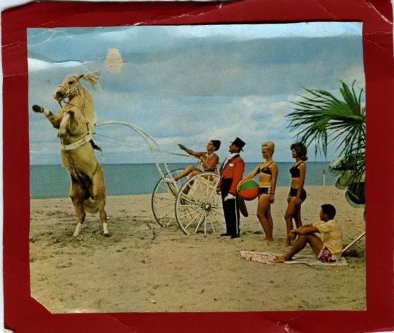 Brochure cover circus performers Earlene Rawles, Marilyn McPherron and Gordon